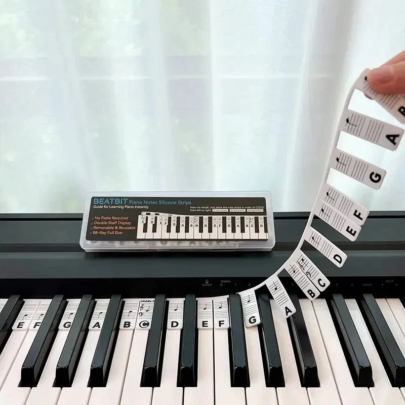Reusable Piano Keyboard Note Labels - Perfect for Kids & Beginners Learning Piano Notes- Sensory 