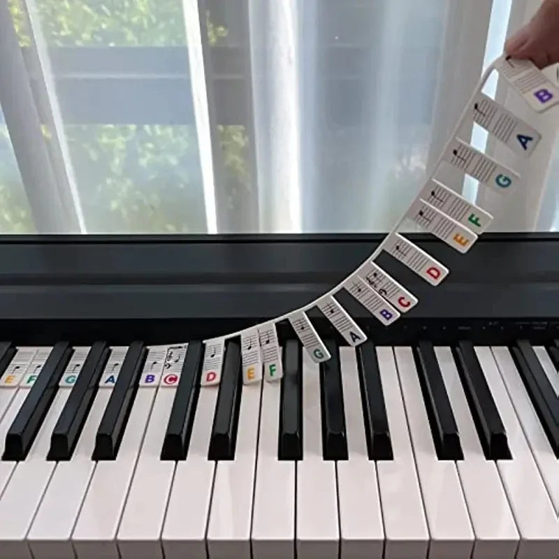 Reusable Piano Keyboard Note Labels - Perfect for Kids & Beginners Learning Piano Notes- Sensory 