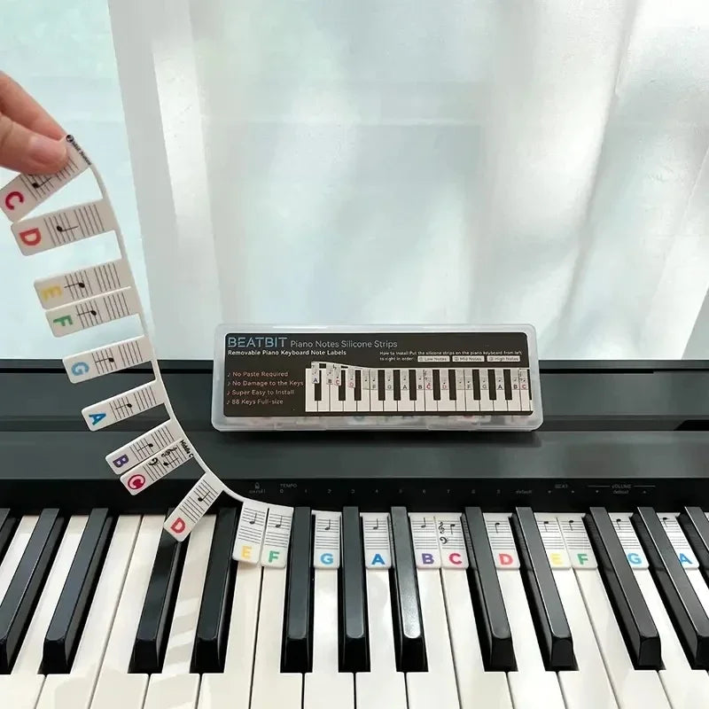 Reusable Piano Keyboard Note Labels - Perfect for Kids & Beginners Learning Piano Notes- Sensory 