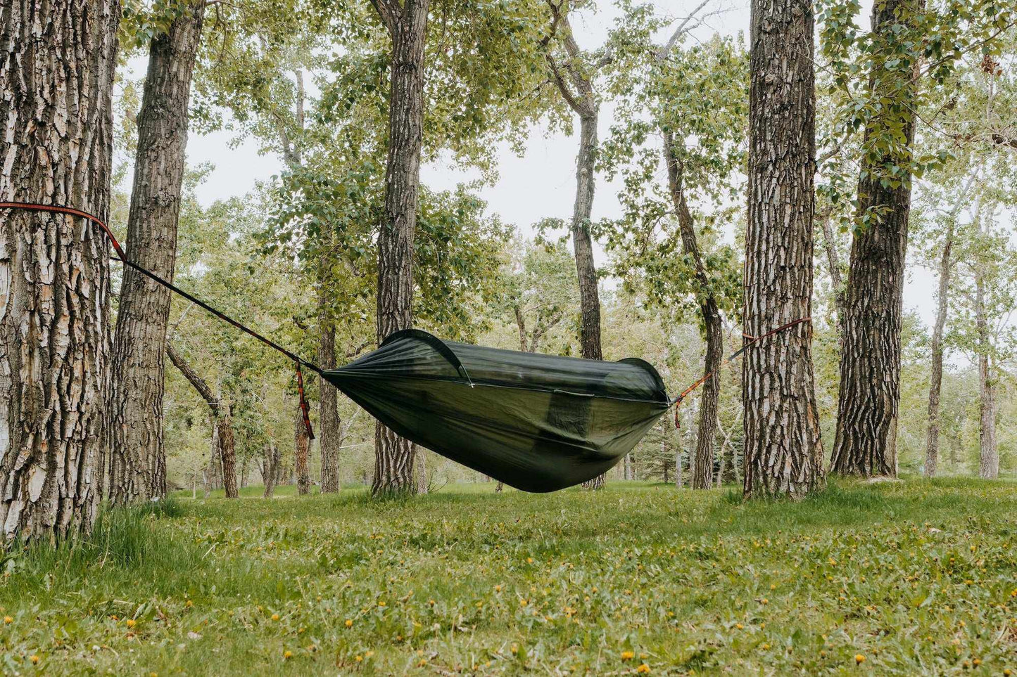 Ultimate Portable Camping Hammock with Built-in Mosquito Net for Bug-Free Relaxation