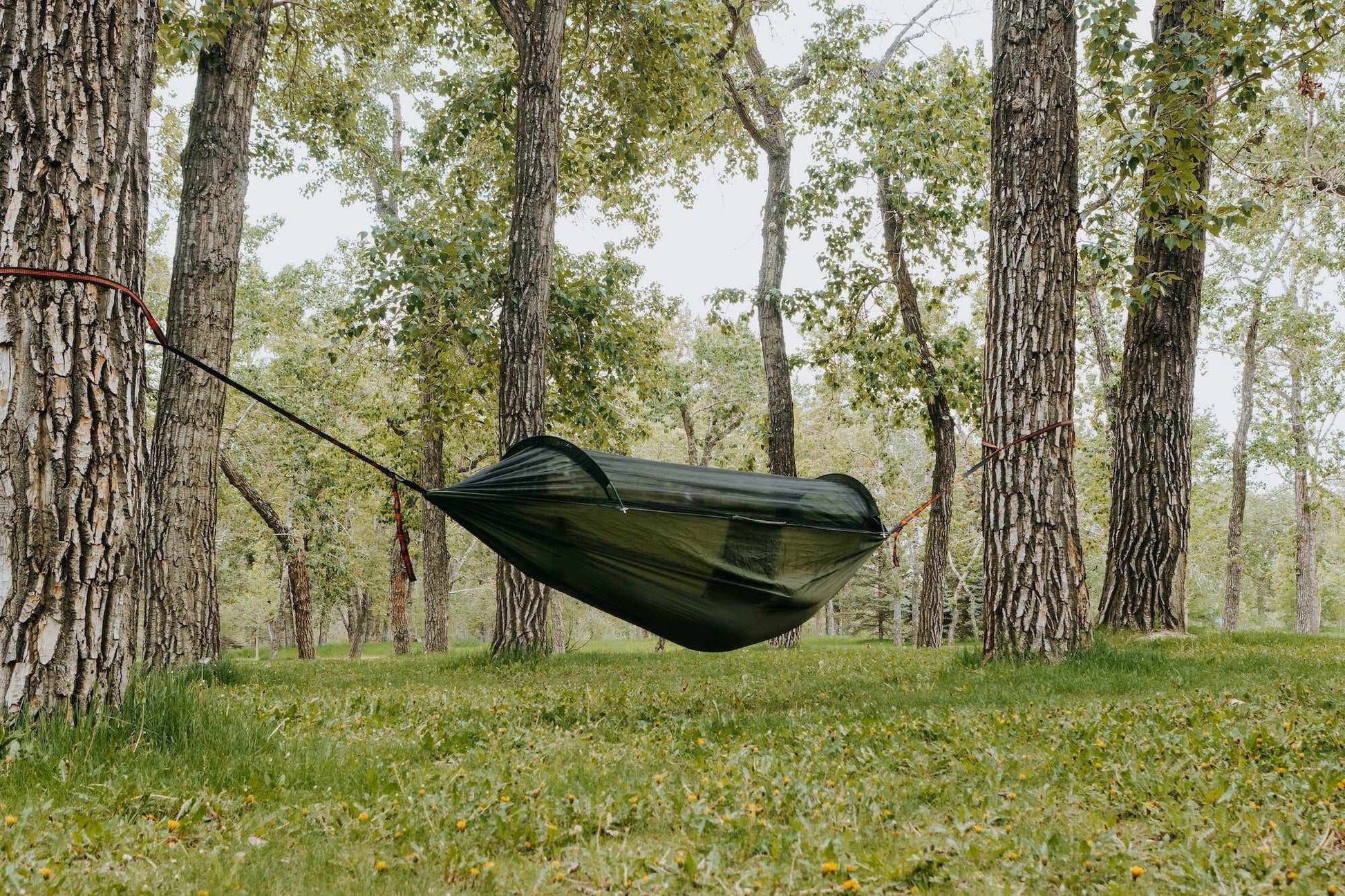 Ultimate Portable Camping Hammock with Built-in Mosquito Net for Bug-Free Relaxation